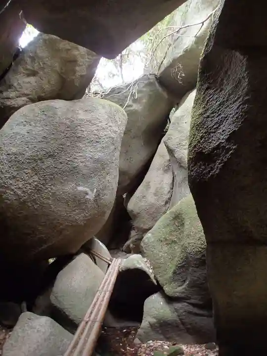 磐船神社の自然