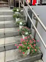 池上鬼子母神堂(厳定院別院)(東京都)