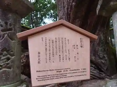 春日大社の歴史