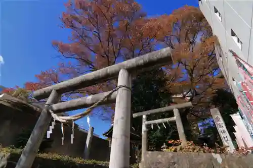 愛宕神社の鳥居