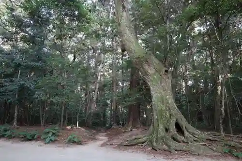 鹿島神宮(茨城県)