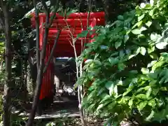 鎮守氷川神社の鳥居