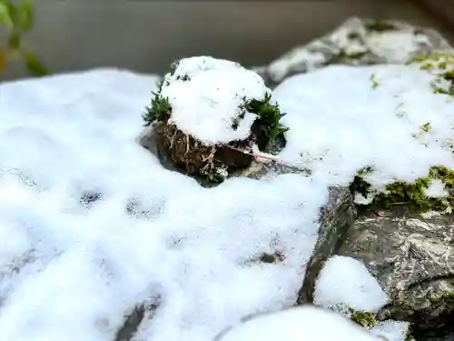良性院(長野県)