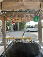 乃木神社の手水