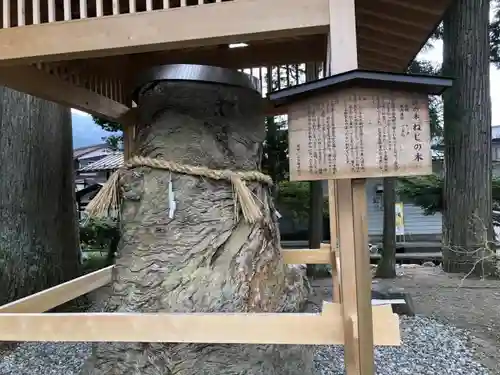 飛驒一宮水無神社の自然
