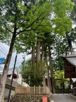 奥氷川神社の{uncategorized: "未分類", other: "その他", undefined: "問題あり", building: "その他建物", grave: "お墓", sacred_gate: "鳥居", guardian: "狛犬", statue: "像", buddha: "仏像", history: "歴史", nature: "自然", garden: "庭園", animal: "動物", pagoda: "塔", temizu: "手水舎", mountain_gate: "山門・神門", sanctuary: "本殿・本堂", subordinate: "末社・摂社", art: "芸術", scenery: "景色", jizo: "地蔵", ema: "絵馬", goshuin: "御朱印", omikuji: "おみくじ", items: "授与品その他", amulet: "お守り", goshuincho: "御朱印帳", eats: "食事", festival: "お祭り", votive_dance: "神楽", shichigosan: "七五三参", wedding: "結婚式", experience: "体験その他", initially: "初詣", around: "周辺", anti_infection: "感染症対策"}