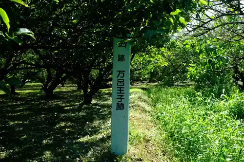 闘鶏神社の周辺