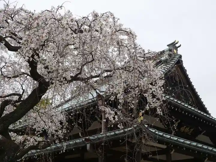豪徳寺のその他建物