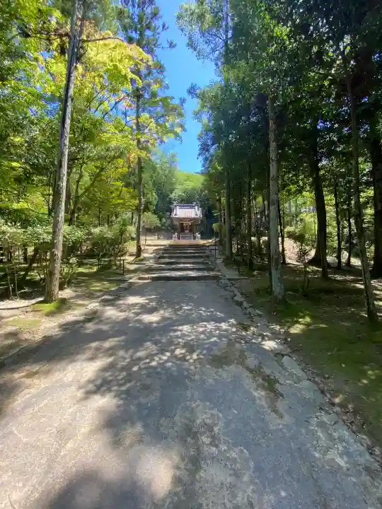向日神社の{uncategorized: "未分類", other: "その他", undefined: "問題あり", building: "その他建物", grave: "お墓", sacred_gate: "鳥居", guardian: "狛犬", statue: "像", buddha: "仏像", history: "歴史", nature: "自然", garden: "庭園", animal: "動物", pagoda: "塔", temizu: "手水舎", mountain_gate: "山門・神門", sanctuary: "本殿・本堂", subordinate: "末社・摂社", art: "芸術", scenery: "景色", jizo: "地蔵", ema: "絵馬", goshuin: "御朱印", omikuji: "おみくじ", items: "授与品その他", amulet: "お守り", goshuincho: "御朱印帳", eats: "食事", festival: "お祭り", votive_dance: "神楽", shichigosan: "七五三参", wedding: "結婚式", experience: "体験その他", initially: "初詣", around: "周辺", anti_infection: "感染症対策"}