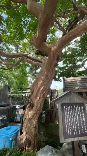 宝善院(神奈川県)