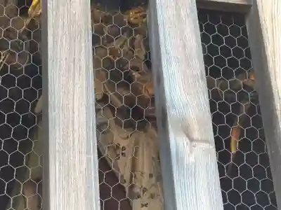 善光寺(長野県)