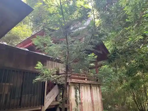 小倉神社の本殿・本堂