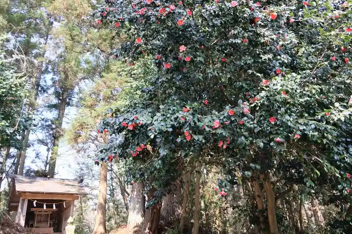 鹿島大神宮の末社・摂社