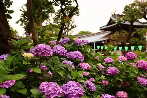白山神社(東京都)