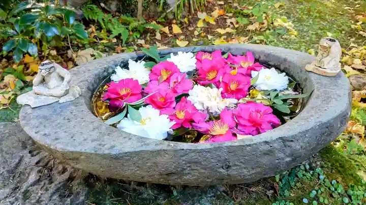 かっぱの寺 栖足寺(静岡県)