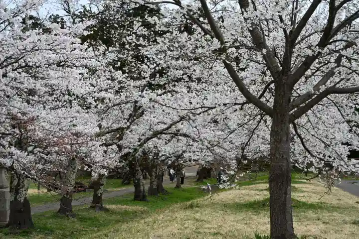 蒼柴神社(新潟県)
