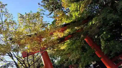 賀茂御祖神社（下鴨神社）の鳥居