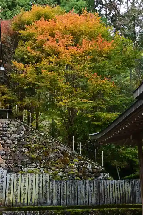 秋葉神社(高知県)