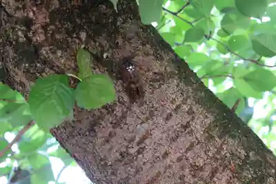 三津厳島神社(愛媛県)