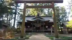 大井神社の鳥居