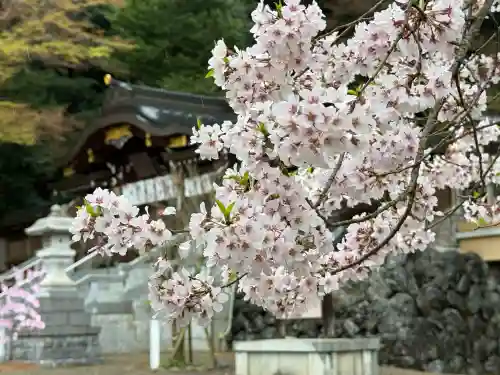 高麗神社の{uncategorized: "未分類", other: "その他", undefined: "問題あり", building: "その他建物", grave: "お墓", sacred_gate: "鳥居", guardian: "狛犬", statue: "像", buddha: "仏像", history: "歴史", nature: "自然", garden: "庭園", animal: "動物", pagoda: "塔", temizu: "手水舎", mountain_gate: "山門・神門", sanctuary: "本殿・本堂", subordinate: "末社・摂社", art: "芸術", scenery: "景色", jizo: "地蔵", ema: "絵馬", goshuin: "御朱印", omikuji: "おみくじ", items: "授与品その他", amulet: "お守り", goshuincho: "御朱印帳", eats: "食事", festival: "お祭り", votive_dance: "神楽", shichigosan: "七五三参", wedding: "結婚式", experience: "体験その他", initially: "初詣", around: "周辺", anti_infection: "感染症対策"}