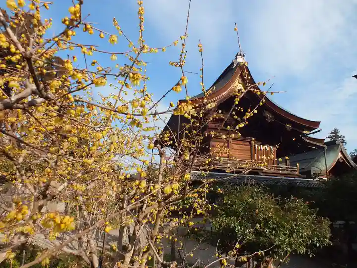 沙沙貴神社のその他建物