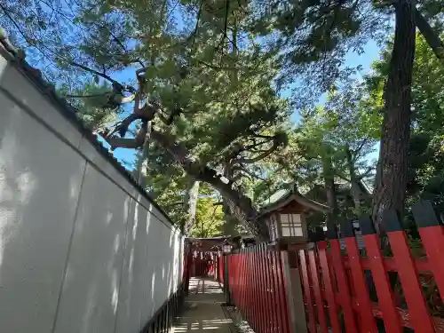 蛇松神社(新潟県)