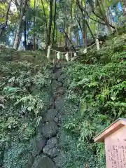 貴船神社の自然