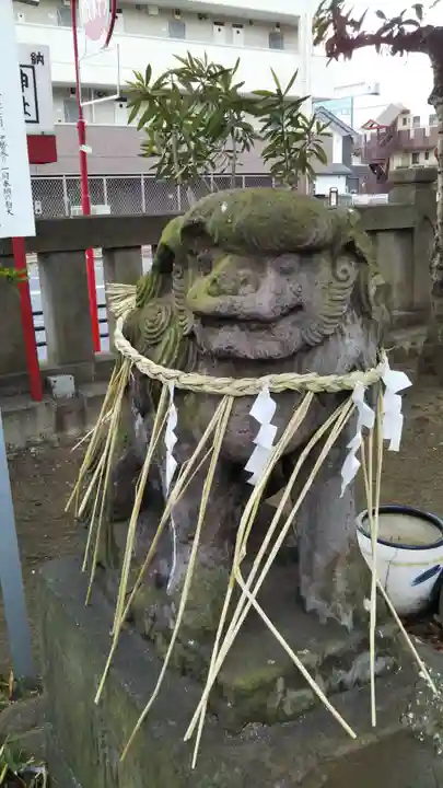 白幡神社の狛犬