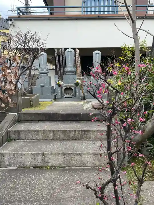 正覚寺の{uncategorized: "未分類", other: "その他", undefined: "問題あり", building: "その他建物", grave: "お墓", sacred_gate: "鳥居", guardian: "狛犬", statue: "像", buddha: "仏像", history: "歴史", nature: "自然", garden: "庭園", animal: "動物", pagoda: "塔", temizu: "手水舎", mountain_gate: "山門・神門", sanctuary: "本殿・本堂", subordinate: "末社・摂社", art: "芸術", scenery: "景色", jizo: "地蔵", ema: "絵馬", goshuin: "御朱印", omikuji: "おみくじ", items: "授与品その他", amulet: "お守り", goshuincho: "御朱印帳", eats: "食事", festival: "お祭り", votive_dance: "神楽", shichigosan: "七五三参", wedding: "結婚式", experience: "体験その他", initially: "初詣", around: "周辺", anti_infection: "感染症対策"}