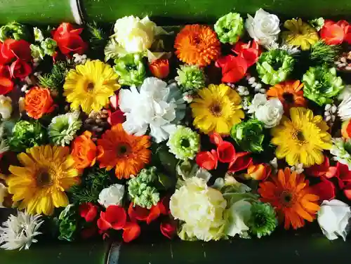 立志神社の手水舎