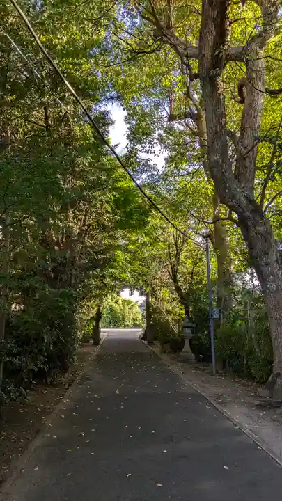 許波多神社(五ケ庄鎮座)(京都府)