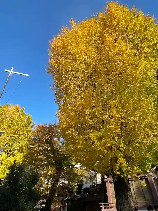 諏訪神社(東京都)