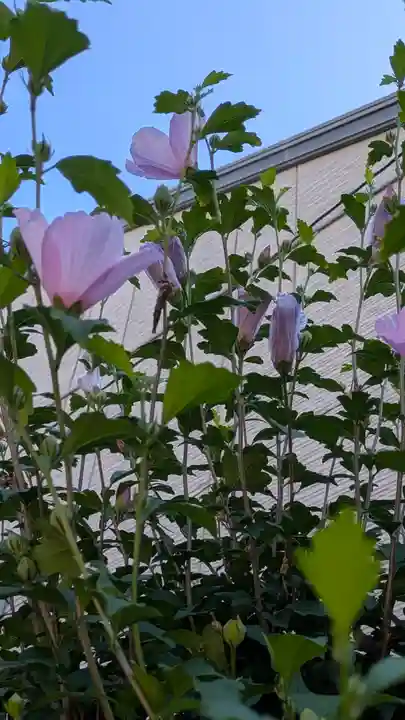 西林寺(京都府)