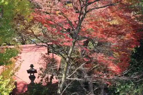 愛宕神社の景色