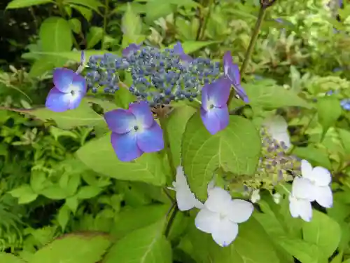宝積山光前寺の自然