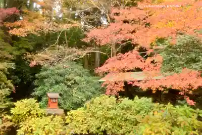 箱根神社(神奈川県)