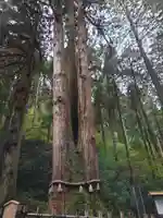 御岩神社(茨城県)