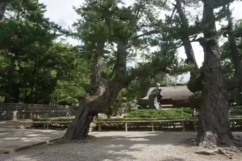 出雲大社の庭園