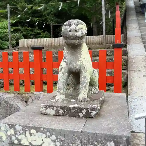 鶴岡八幡宮の狛犬