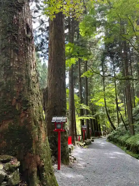 貴船神社の{uncategorized: "未分類", other: "その他", undefined: "問題あり", building: "その他建物", grave: "お墓", sacred_gate: "鳥居", guardian: "狛犬", statue: "像", buddha: "仏像", history: "歴史", nature: "自然", garden: "庭園", animal: "動物", pagoda: "塔", temizu: "手水舎", mountain_gate: "山門・神門", sanctuary: "本殿・本堂", subordinate: "末社・摂社", art: "芸術", scenery: "景色", jizo: "地蔵", ema: "絵馬", goshuin: "御朱印", omikuji: "おみくじ", items: "授与品その他", amulet: "お守り", goshuincho: "御朱印帳", eats: "食事", festival: "お祭り", votive_dance: "神楽", shichigosan: "七五三参", wedding: "結婚式", experience: "体験その他", initially: "初詣", around: "周辺", anti_infection: "感染症対策"}