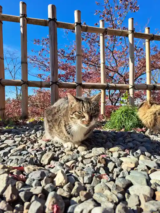 唐澤山神社(栃木県)