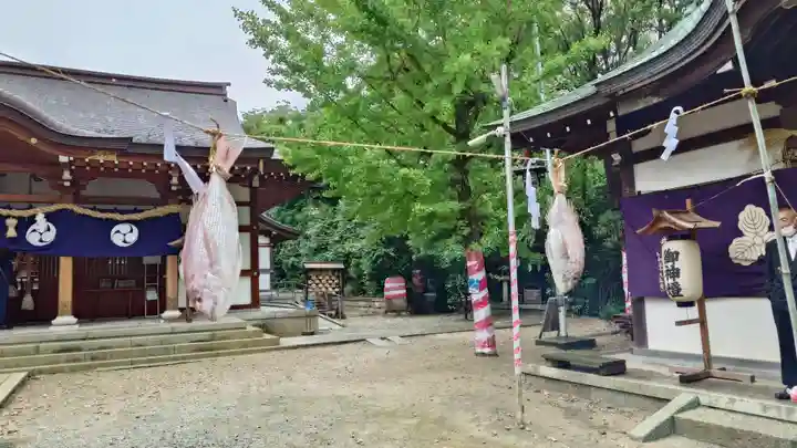 夜疑神社のお祭り