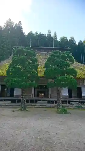 慧日寺の本殿・本堂