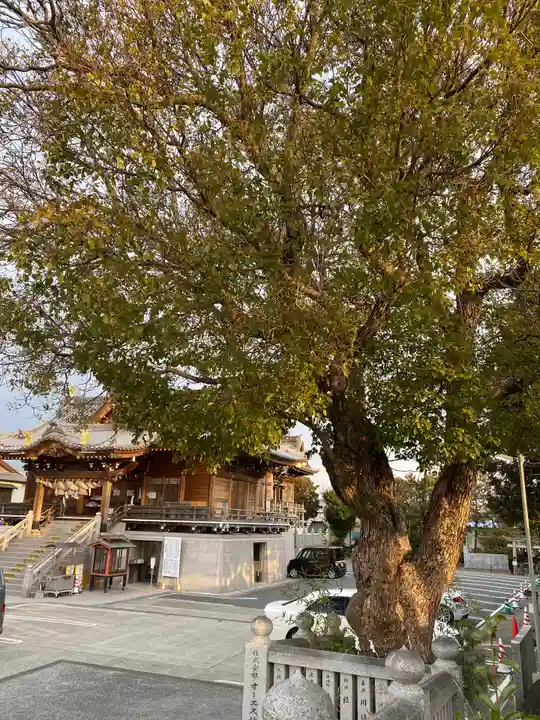 沖田神社の自然