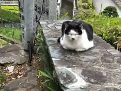 王子神社の動物