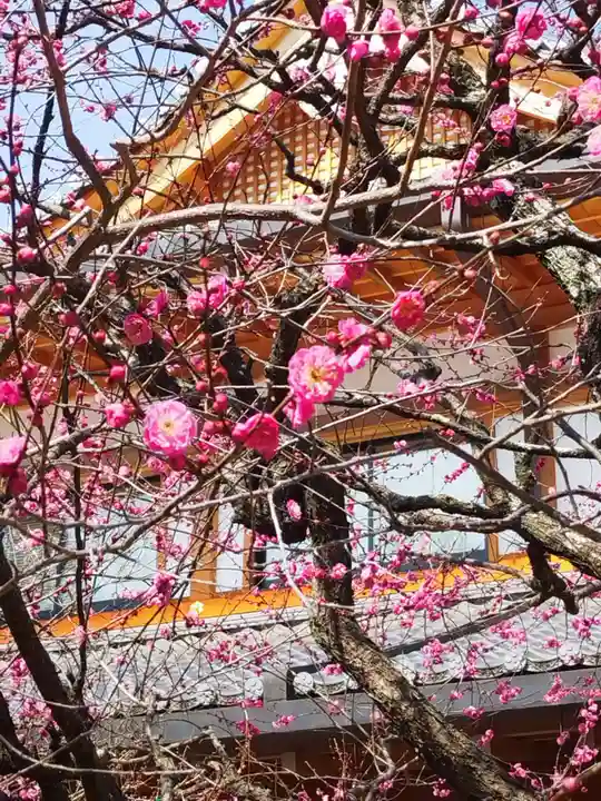 北野天満宮(京都府)