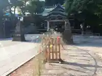 亀有香取神社の体験その他