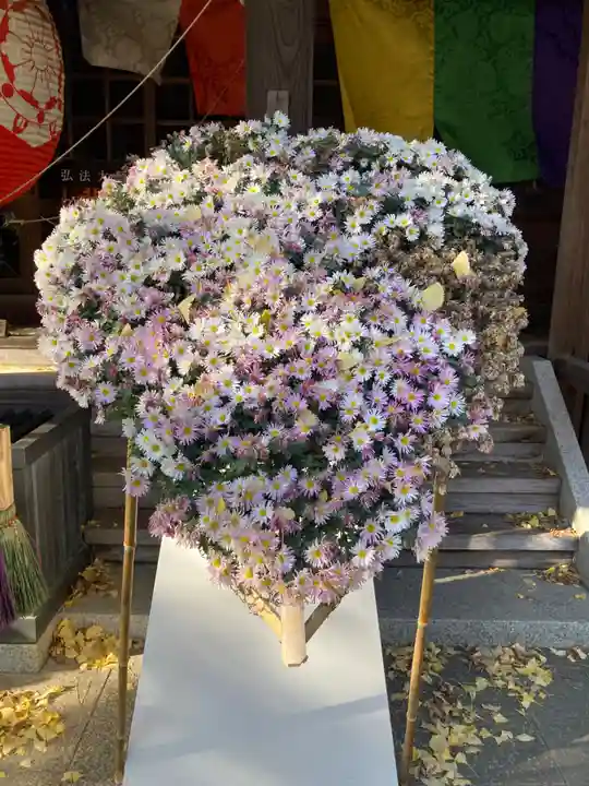 明王院(満願寺別院)の庭園