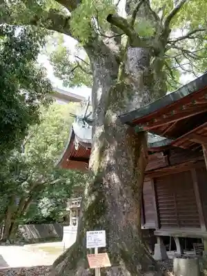堀江神社のその他建物